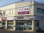 ひまわり薬局