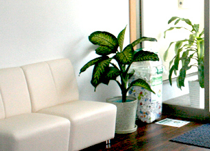 エムハート薬局 いりえおか店の写真